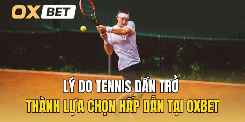 Lý do tennis dần trở thành lựa chọn hấp dẫn tại Oxbet